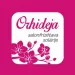 Rupja attieksme pret klientu