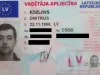 Uzmetējs
