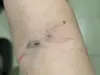 Slikts serviss
