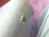 Химчистка